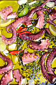 Octopus marinating in herbs and spices in olive oil