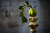 Green pears with leaves on a wooden pillar
