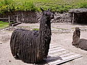 Alpaca farm, Peru