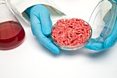 Lab produced meat, conceptual image