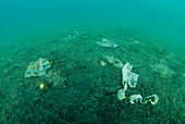 Plastic waste polluting the seabed