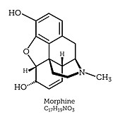 Morphine opioid molecule