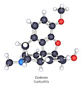 Codeine opioid molecule