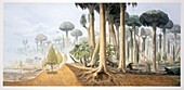 Carboniferous forest, illustration