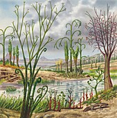 Carboniferous landscape, illustration
