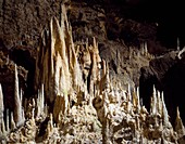 Stalagmites, Toirano caves, Liguria, Italy