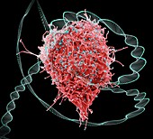 HIV infection and DNA, conceptual composite image