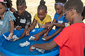 Metro Detroit Youth Day, USA