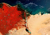 River Nile Delta and Suez Canal, Egypt, satellite image
