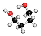 1, 4-Butanediol solvent molecule
