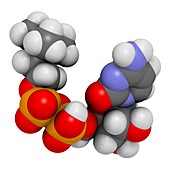 Citicoline molecule