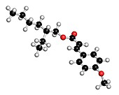 Octyl methoxycinnamate molecule