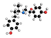 Ractopamine feed additive molecule