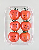 Tomatoes in plastic container
