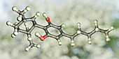 Cannabidiol, molecular model