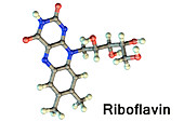 Vitamin B2 riboflavin molecule