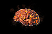 Exploding brain, illustration