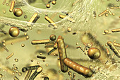 Bacteria in a biofilm, illustration