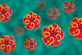 Hepatitis E virus particle, illustration