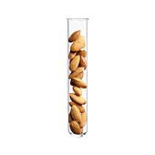 Almonds in test tube