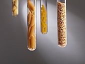 Carbohydrate foods in test tubes