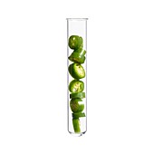 Green chilli pepper in test tube