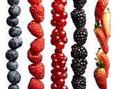 Berries in a row