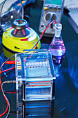 Gel electrophoresis equipment
