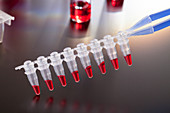 PCR micro tube strip