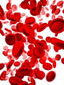 Red blood cells, illustration