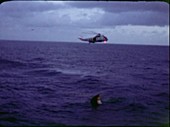 Apollo 11 recovery and flotation balloons, 1969