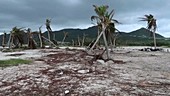 Hurricane Irma destruction in the Caribbean