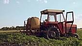 Tractor with pesticide tank