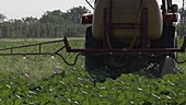 Tractor spraying pesticides on a field