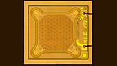MEMS microphone on integrated circuit