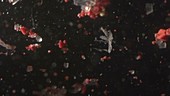 Microplastic particles floating in water