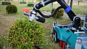 Trimbot gardening robot