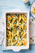 Pasta shells with ricotta and squash