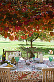 Ländlich gedeckter Tisch unter herbstlichen Baum im Garten