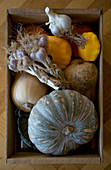 Butternut squash, muscat squash, pattypan squash and garlic in wooden crate