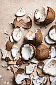 Frische Kokosnüsse in Stücke geschnitten (Aufsicht)