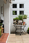 Collection of succulents on round table in protected corner next to veranda