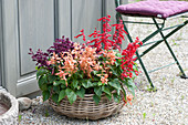 Basket with fire sage in salmon, red and purple