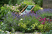 Liegestuhl im Garten zwischen Lavendel und Rosen