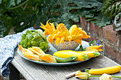 Frisch geerntete Zucchini,  Zucchiniblüten und Salat auf Teller