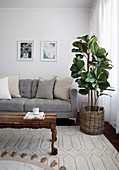 Scatter cushions on grey sofa, houseplant and wooden coffee table in living room