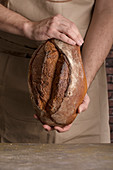 Bäcker hält frisch gebackenen Brotlaib