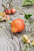 Tisch mit roter Williamsbirne, kleinen Äpfeln und Clematis