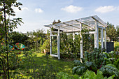 DIY greenhouse made from old windows in garden