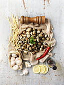 Ingredients for Spaghetti vongole
